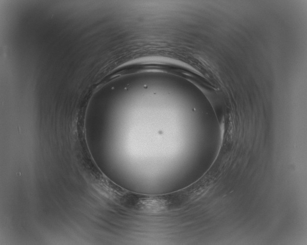 X0000076380221200610061133