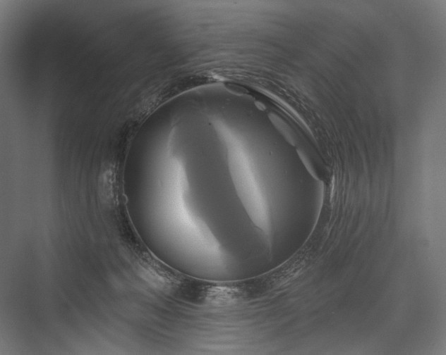 X0000076380222200610061133