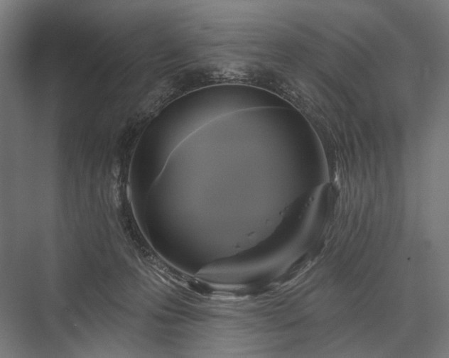 X0000076380223200610061133