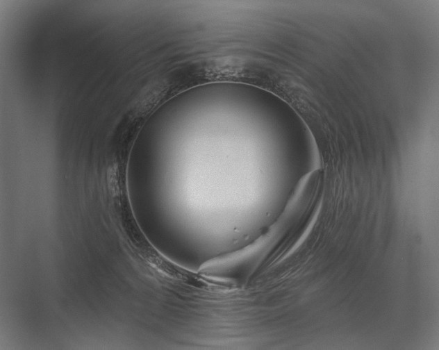 X0000076380224200610061133