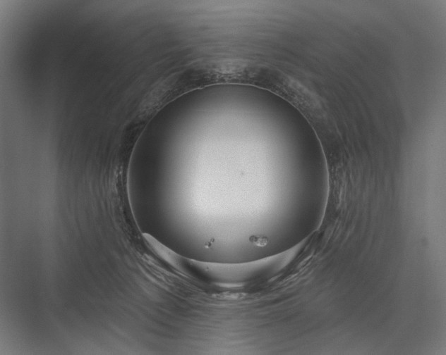 X0000076380225200610061133