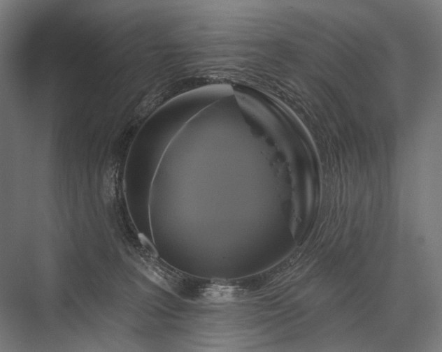 X0000076380227200610061133