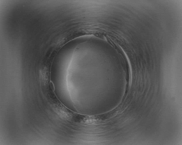 X0000076380228200610061133