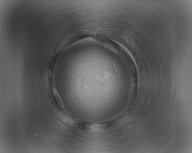 X0000076380229200610061133