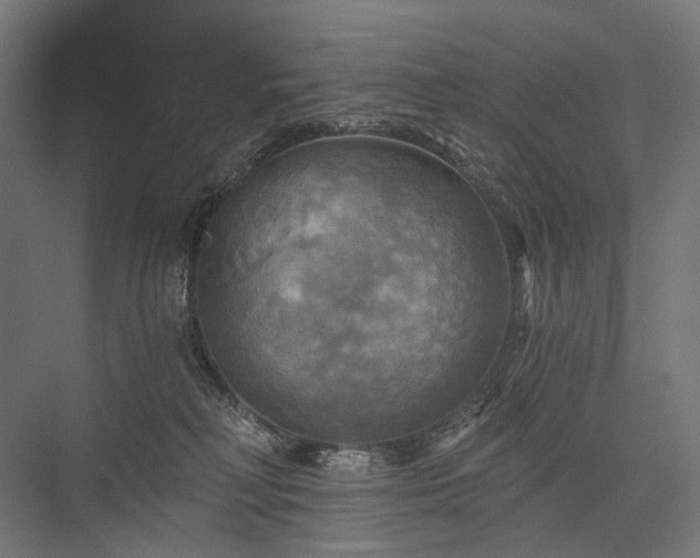 X0000076380230200610061133