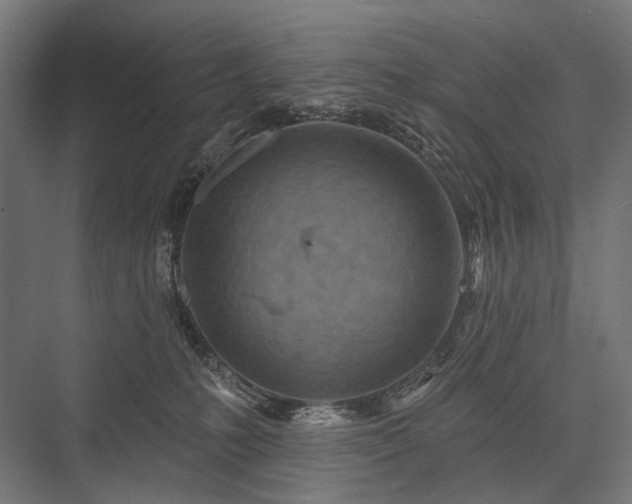 X0000076380231200610061133