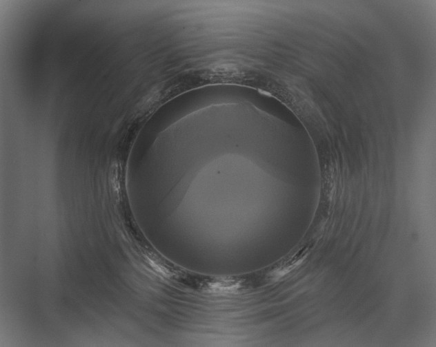 X0000076380232200610061133