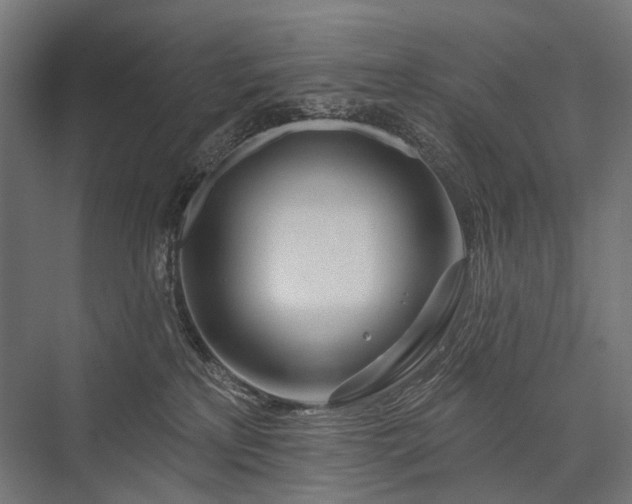 X0000076380233200610061133