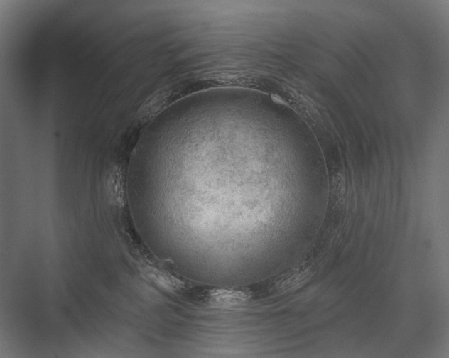 X0000076380234200610061133