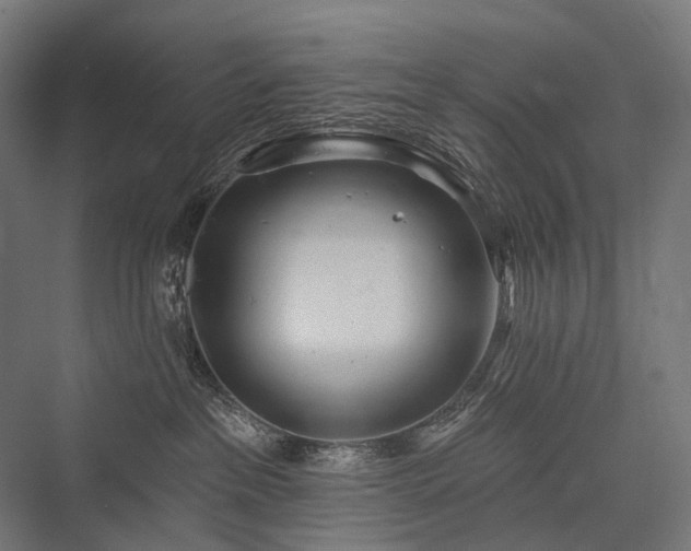 X0000076380237200610061133