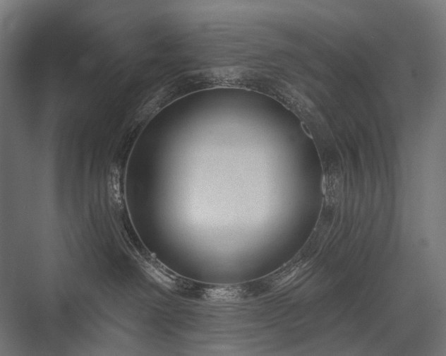 X0000076380238200610061133