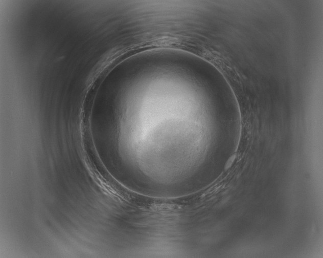 X0000076380242200610061132