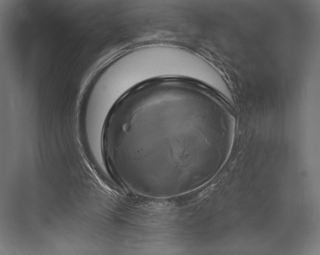 X0000076380245200610061132