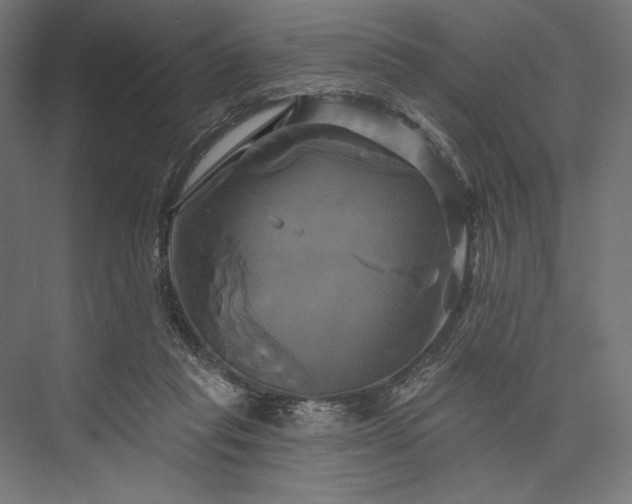 X0000076380261200610061132