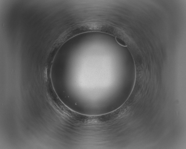 X0000076380262200610061132