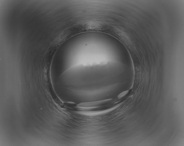 X0000076380269200610061132