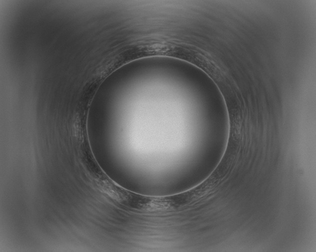 X0000076380270200610061132