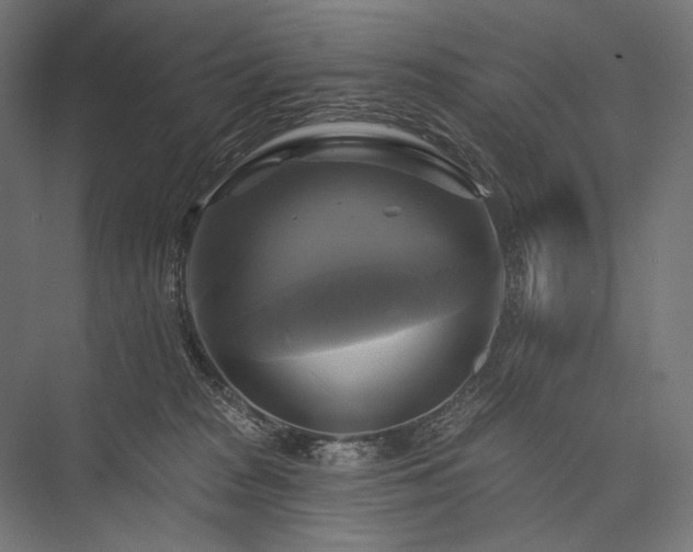 X0000076380277200610061132