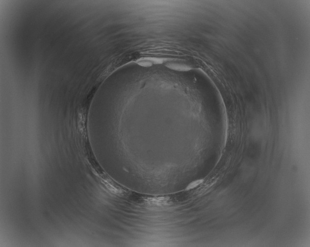 X0000076380281200610061132