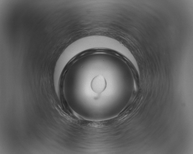 X0000076380284200610061132