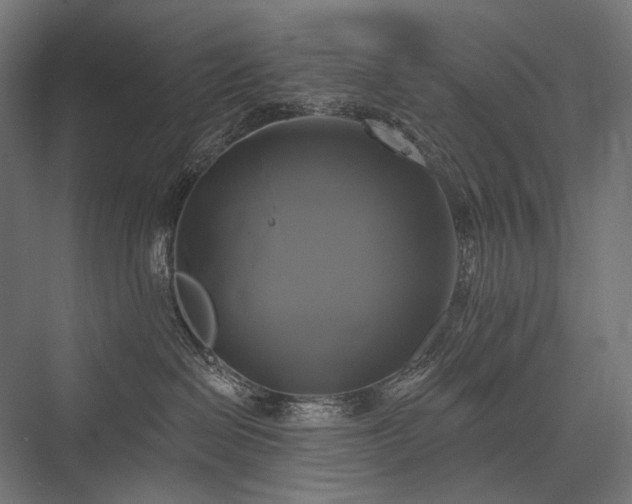 X0000076380286200610061132