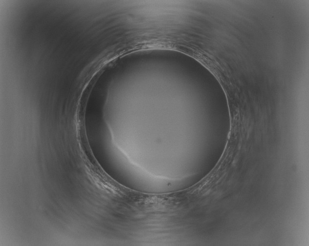 X0000076380290200610061132