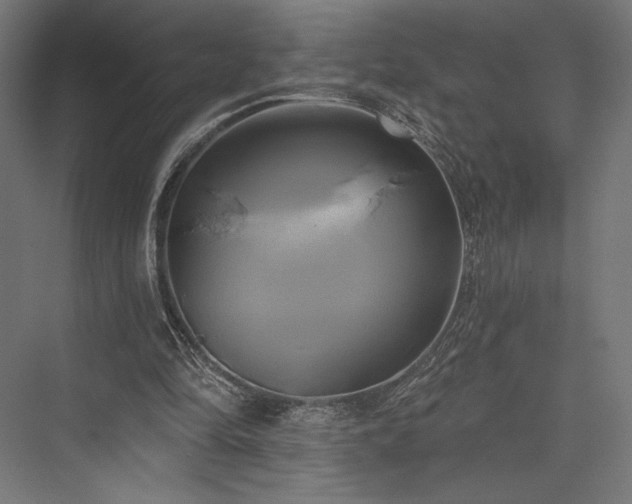 X0000076380294200610061132