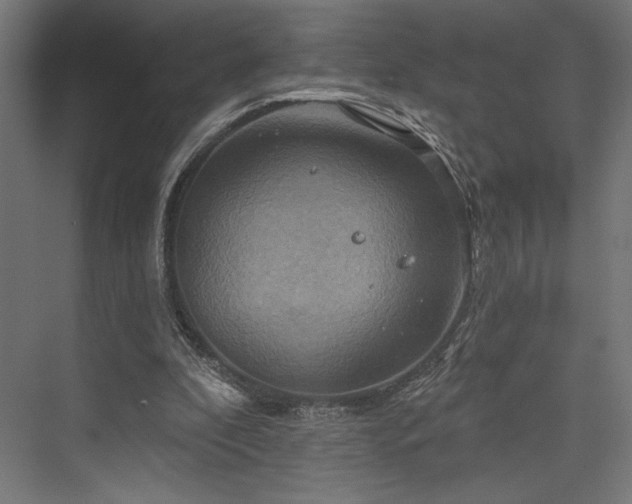 X0000076380296200610061132