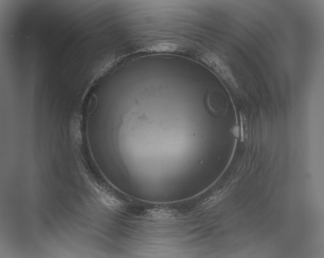 X0000076380300200610061131