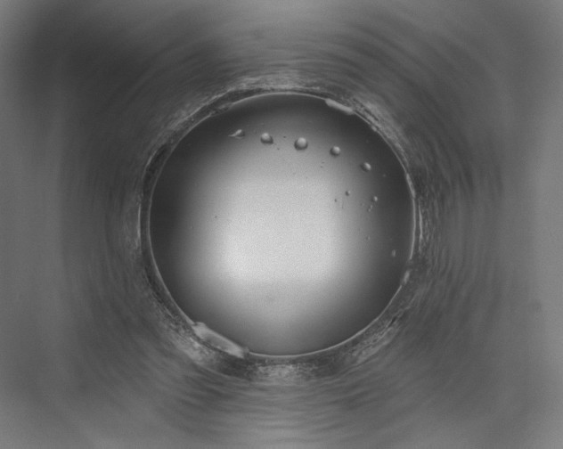 X0000076380301200610061131