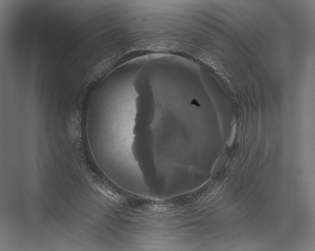 X0000076380303200610061131