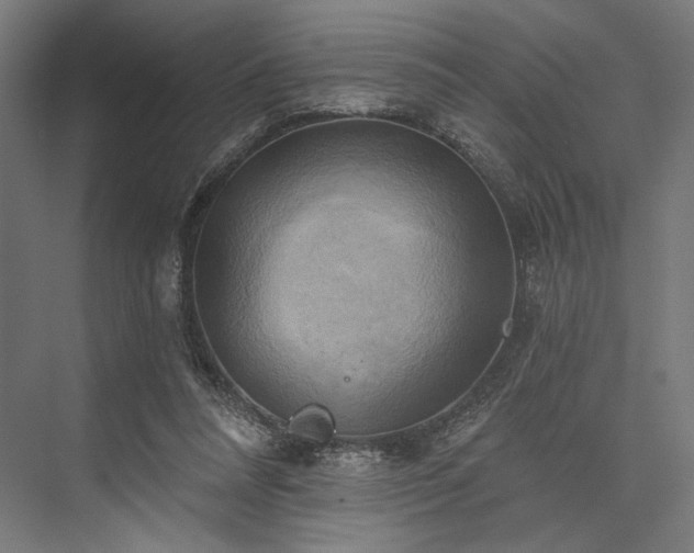 X0000076380304200610061131