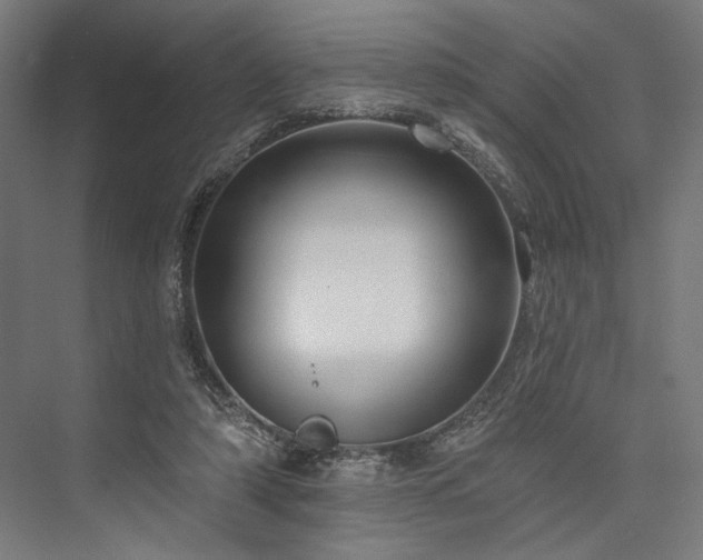 X0000076380306200610061131