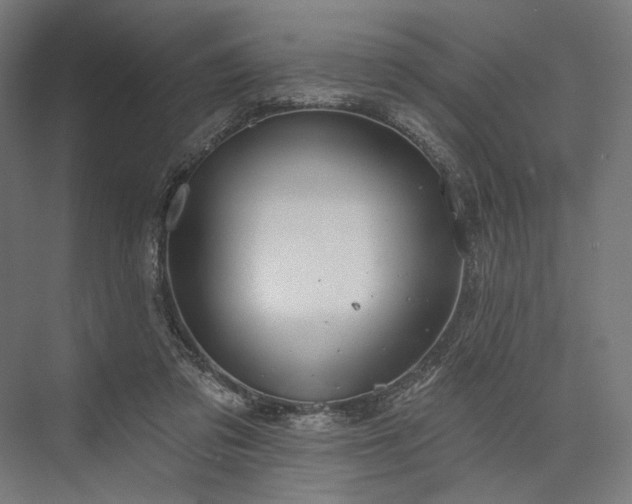 X0000076380309200610061131