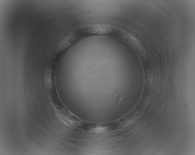 X0000076380312200610061131