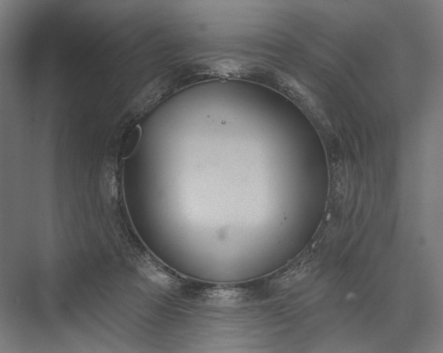 X0000076380313200610061131