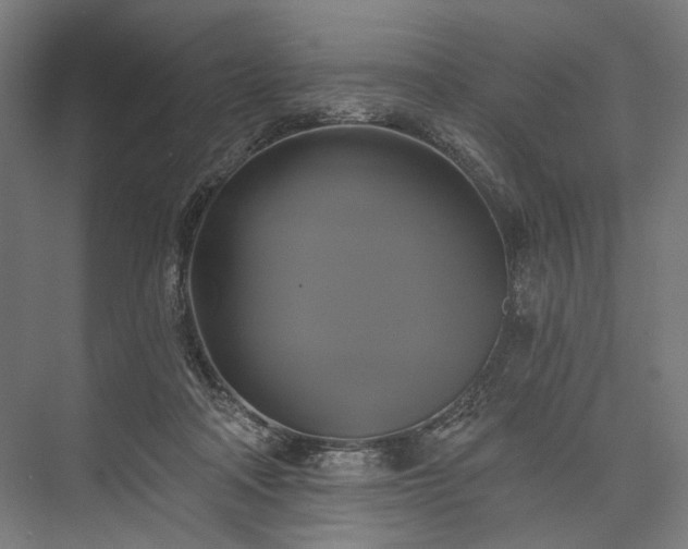 X0000076380314200610061131