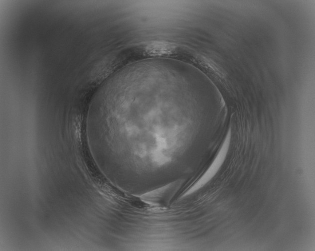 X0000076380315200610061131