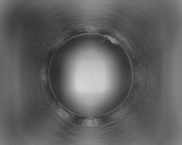 X0000076380317200610061131