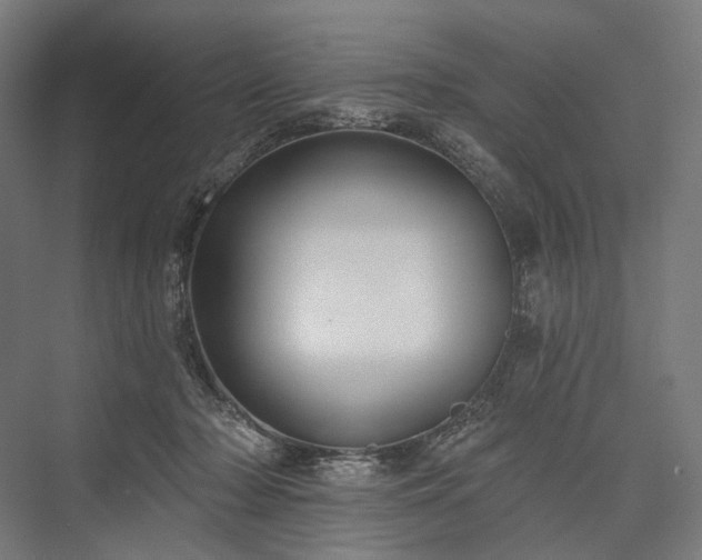 X0000076380318200610061131