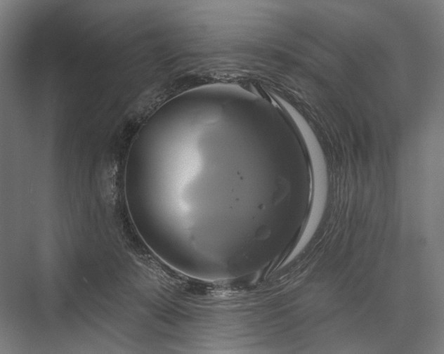 X0000076380319200610061131