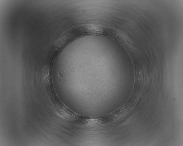 X0000076380320200610061131