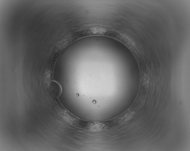 X0000076380321200610061131