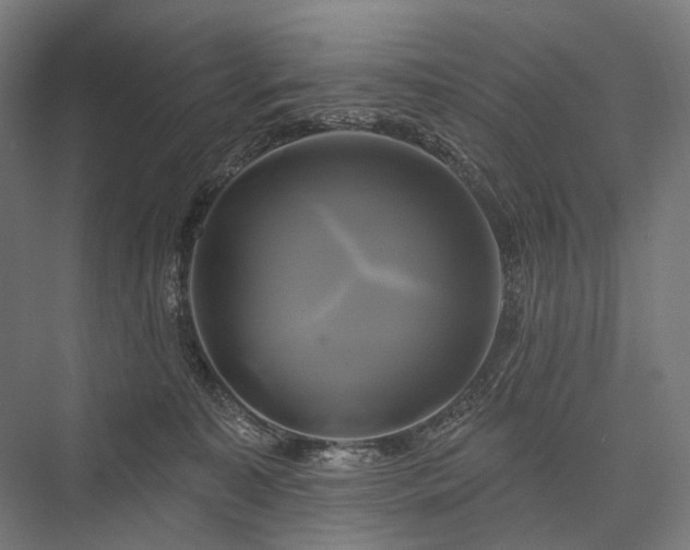 X0000076380323200610061131