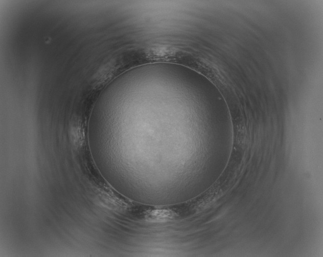 X0000076380324200610061131