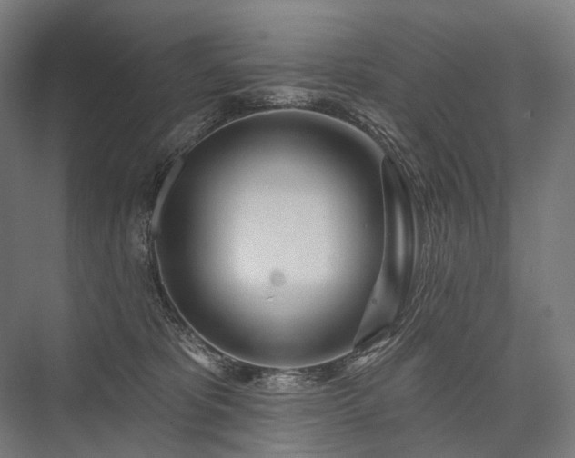 X0000076380325200610061131