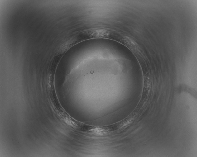 X0000076380326200610061131