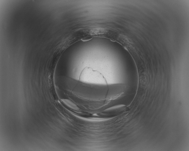 X0000076380327200610061131