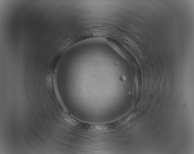 X0000076380329200610061131