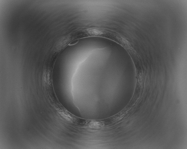 X0000076380330200610061131